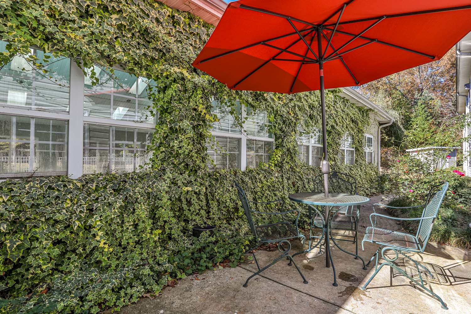 Best Western Mountain View Inn 6/6