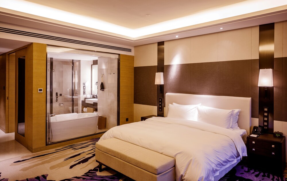 Radisson Blu Hotel Wuhan ETD Zone 5/31
