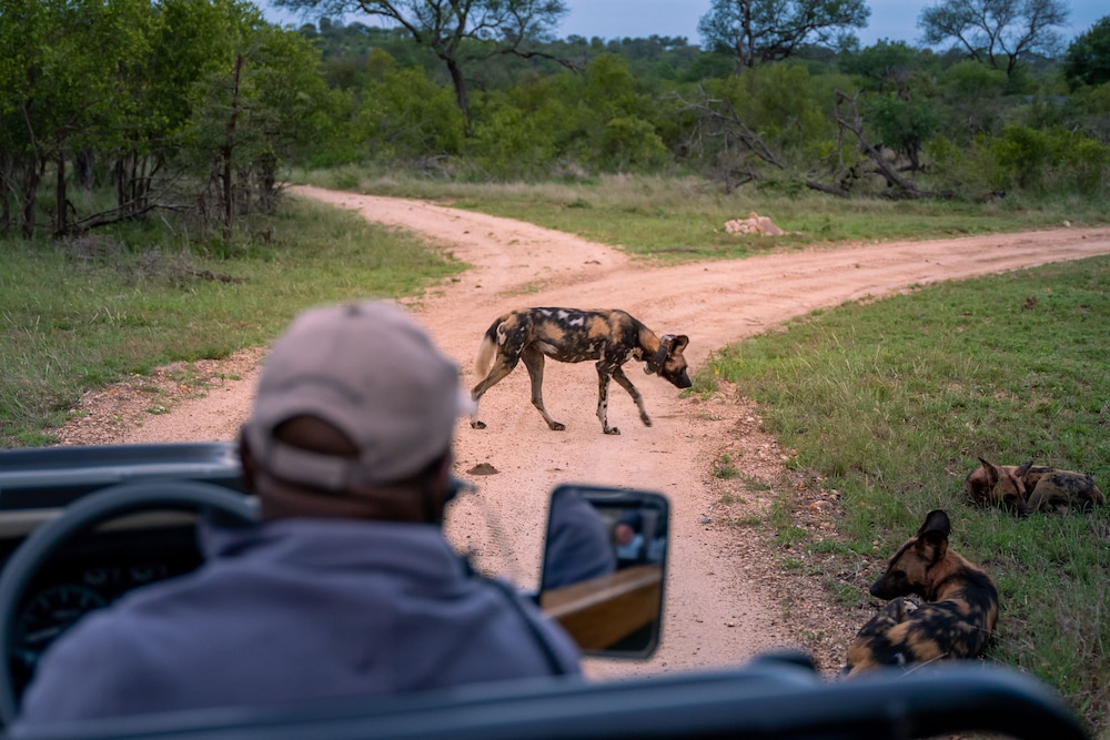 Thornybush Game Lodge 57/62