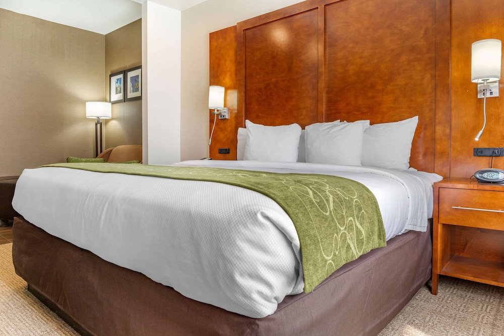 Comfort Suites Dover University Area 17/36