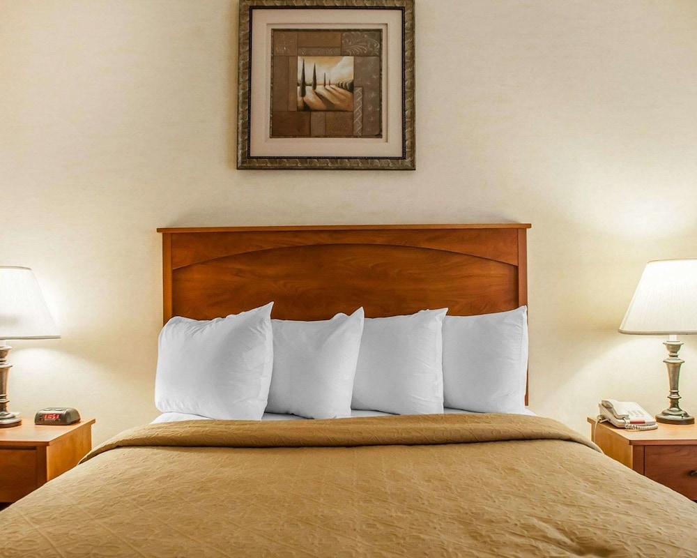 Quality Hotel & Suites At The Falls 28/51