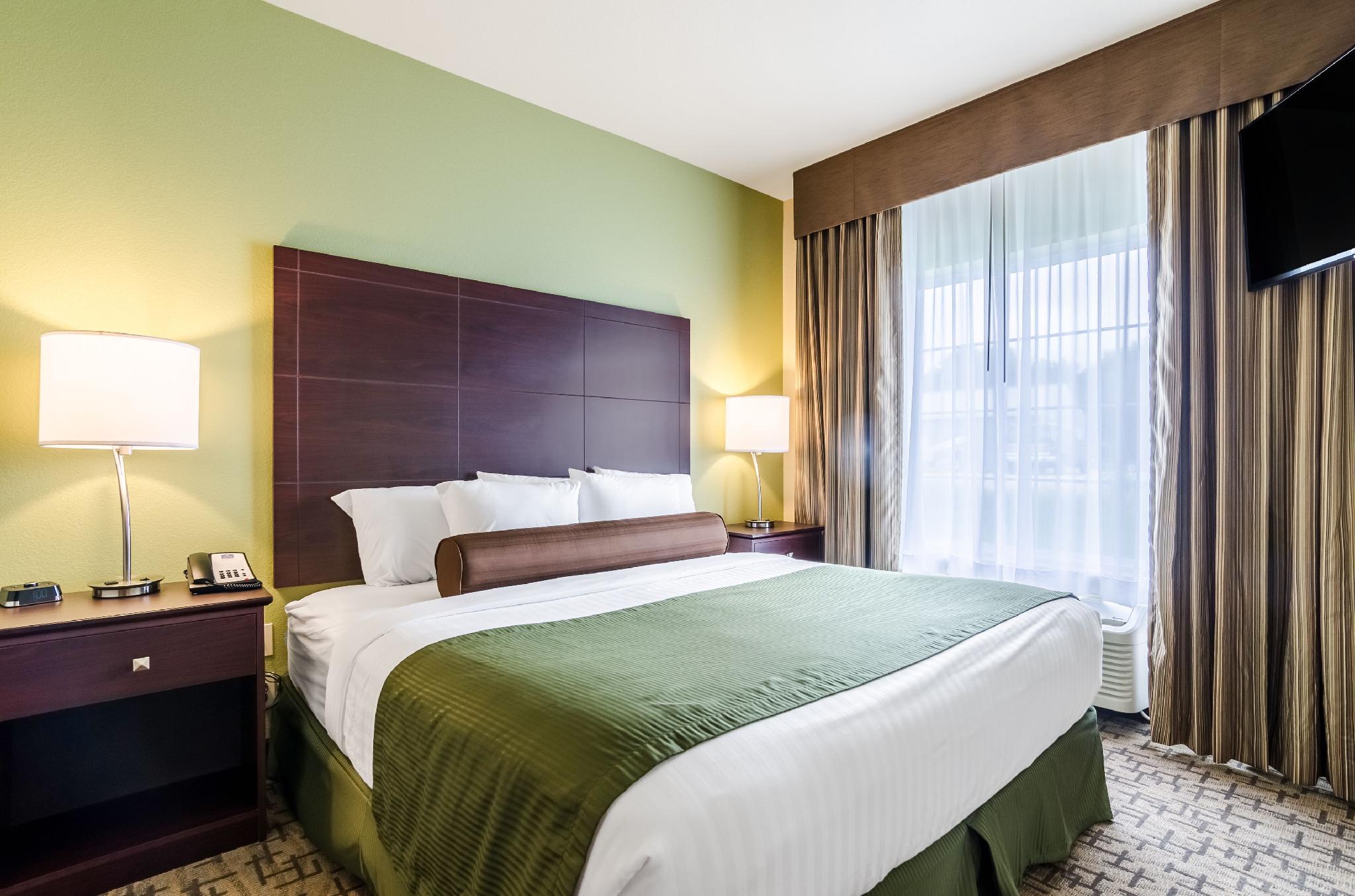 Suite, Multiple Beds, Accessible