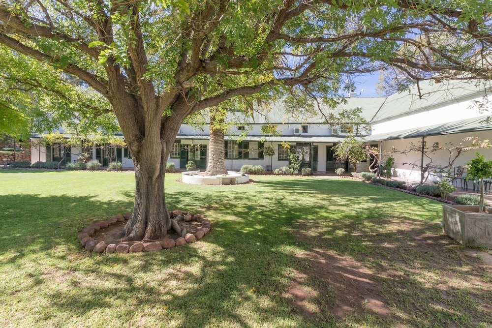 Lemoenfontein 31/50
