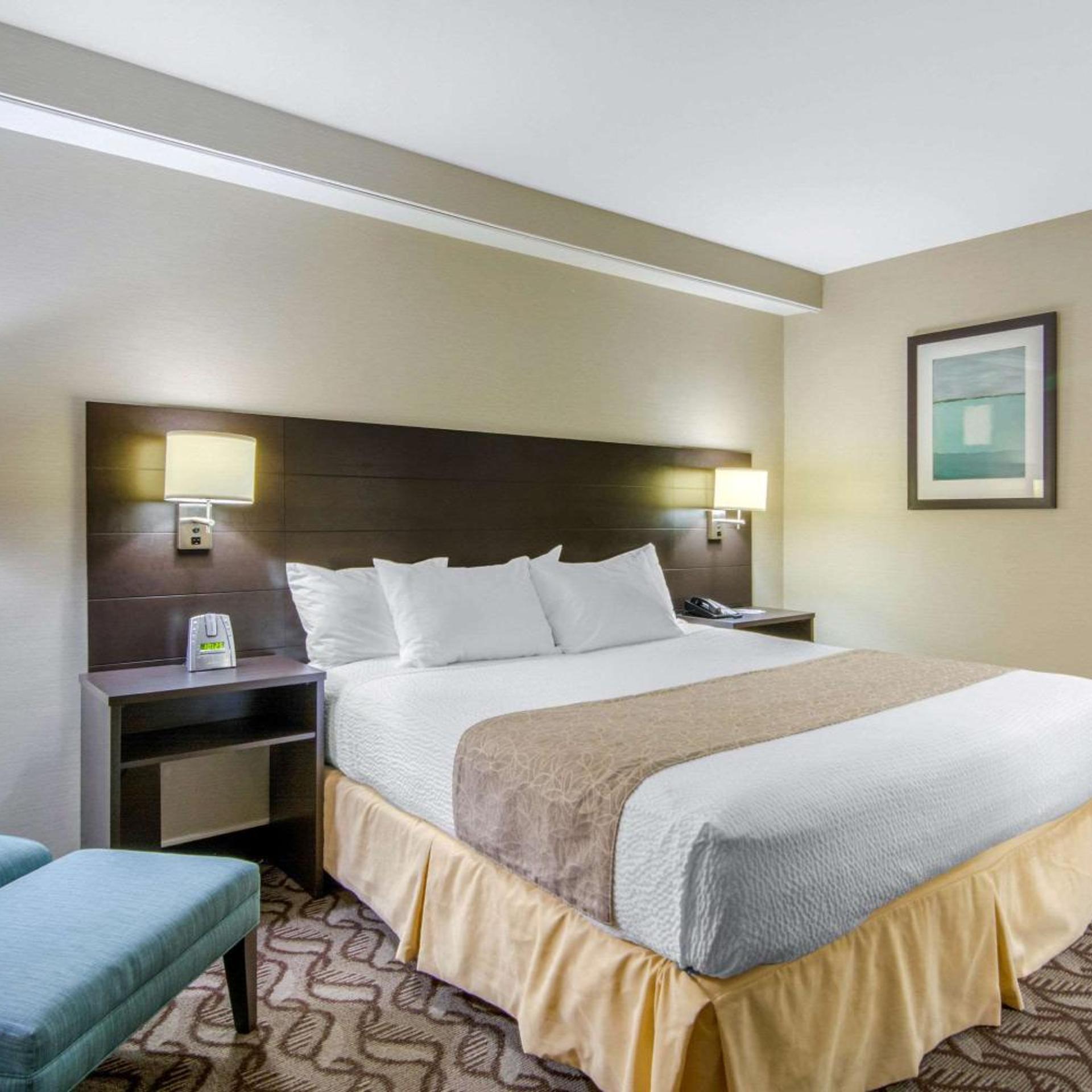 Superior, King Bed