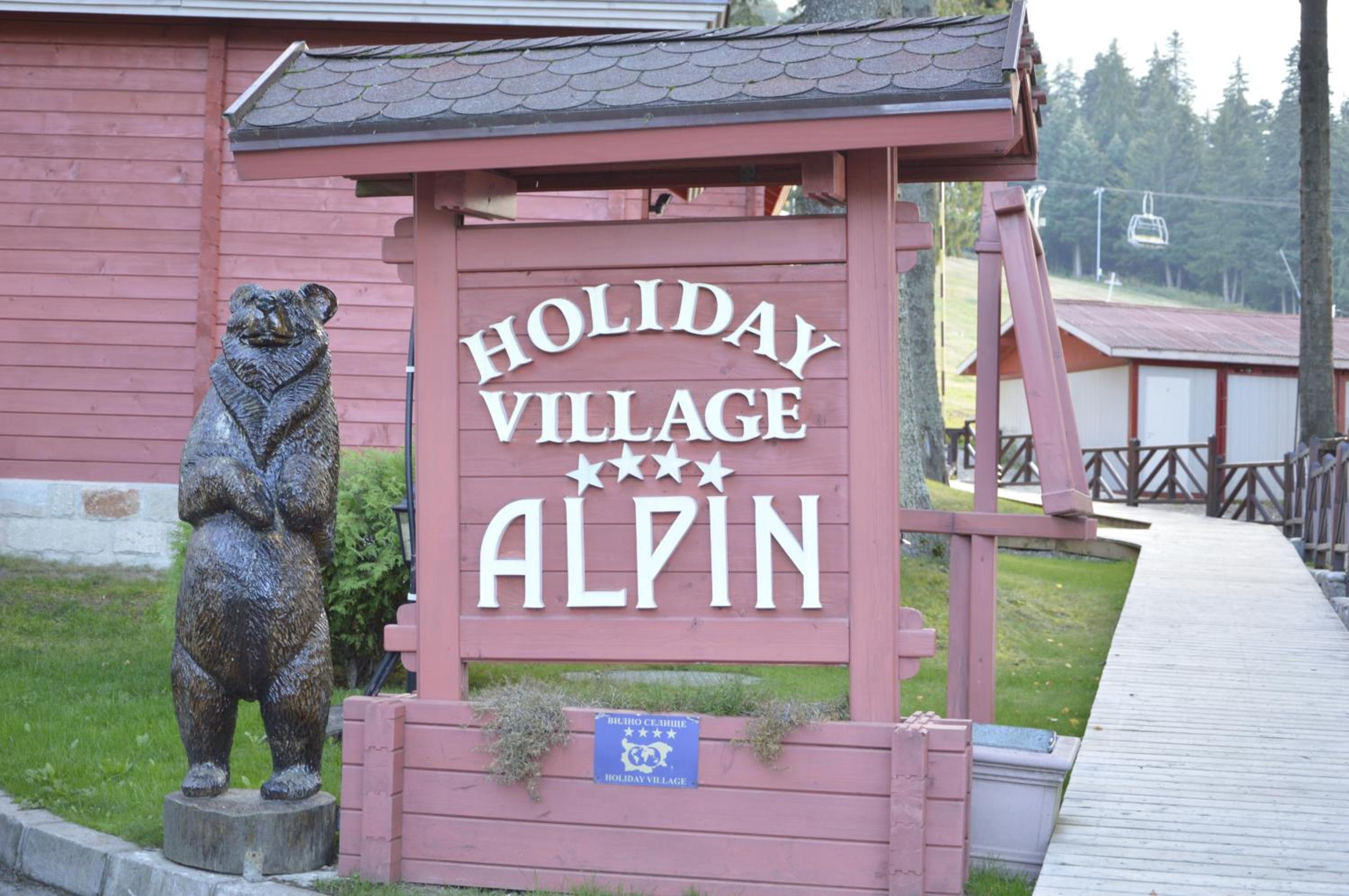 Alpin 5/49