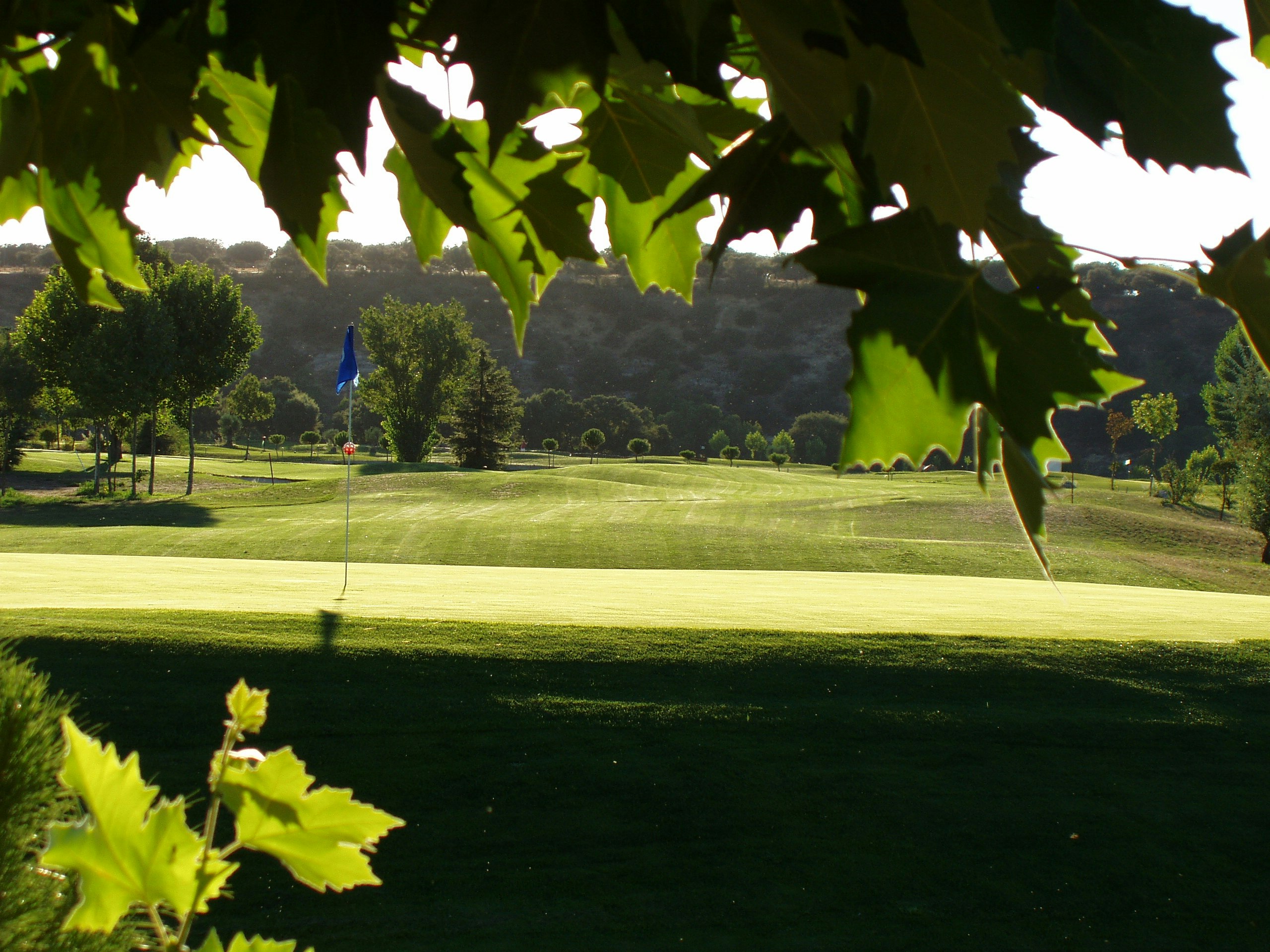 Hacienda Zorita 62/67