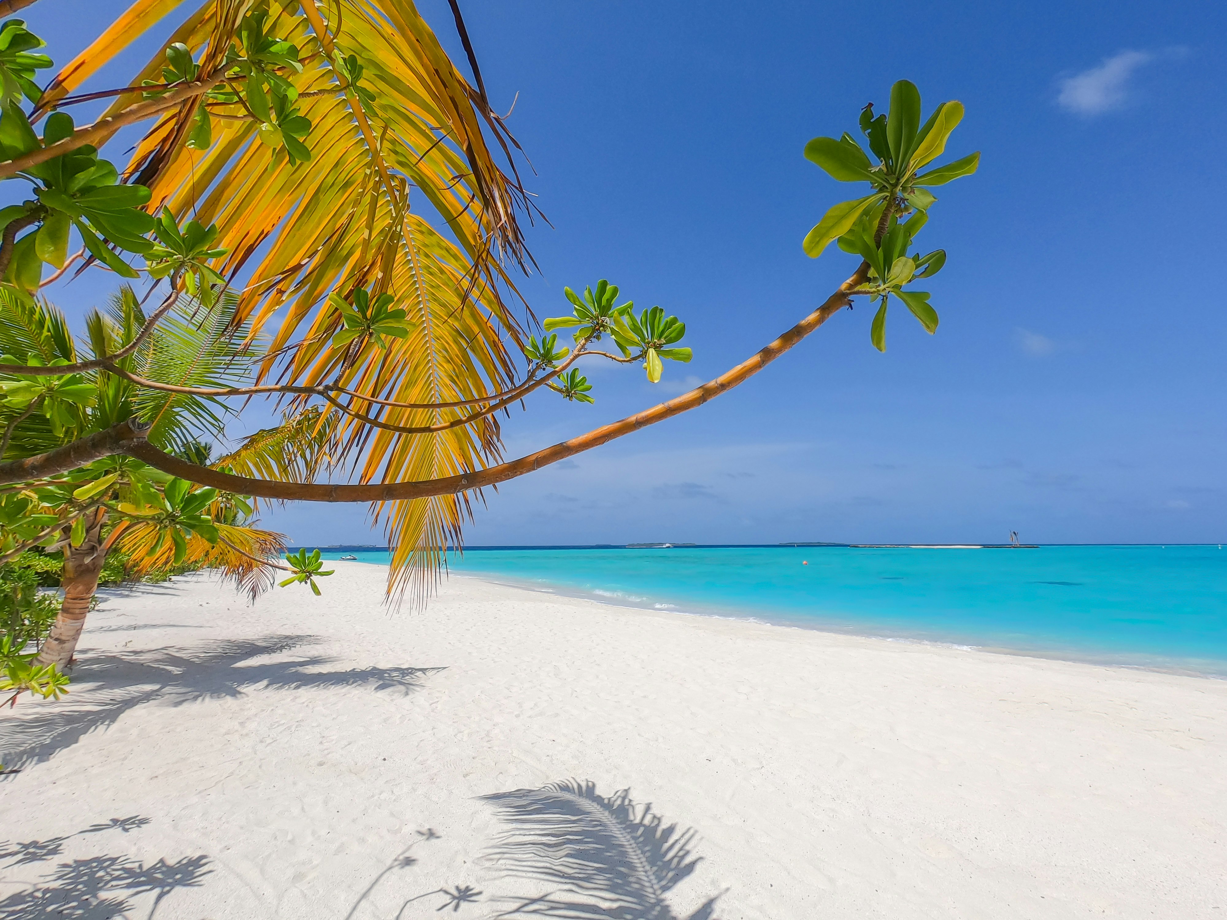 The Standard Huruvalhi Maldives 22/37
