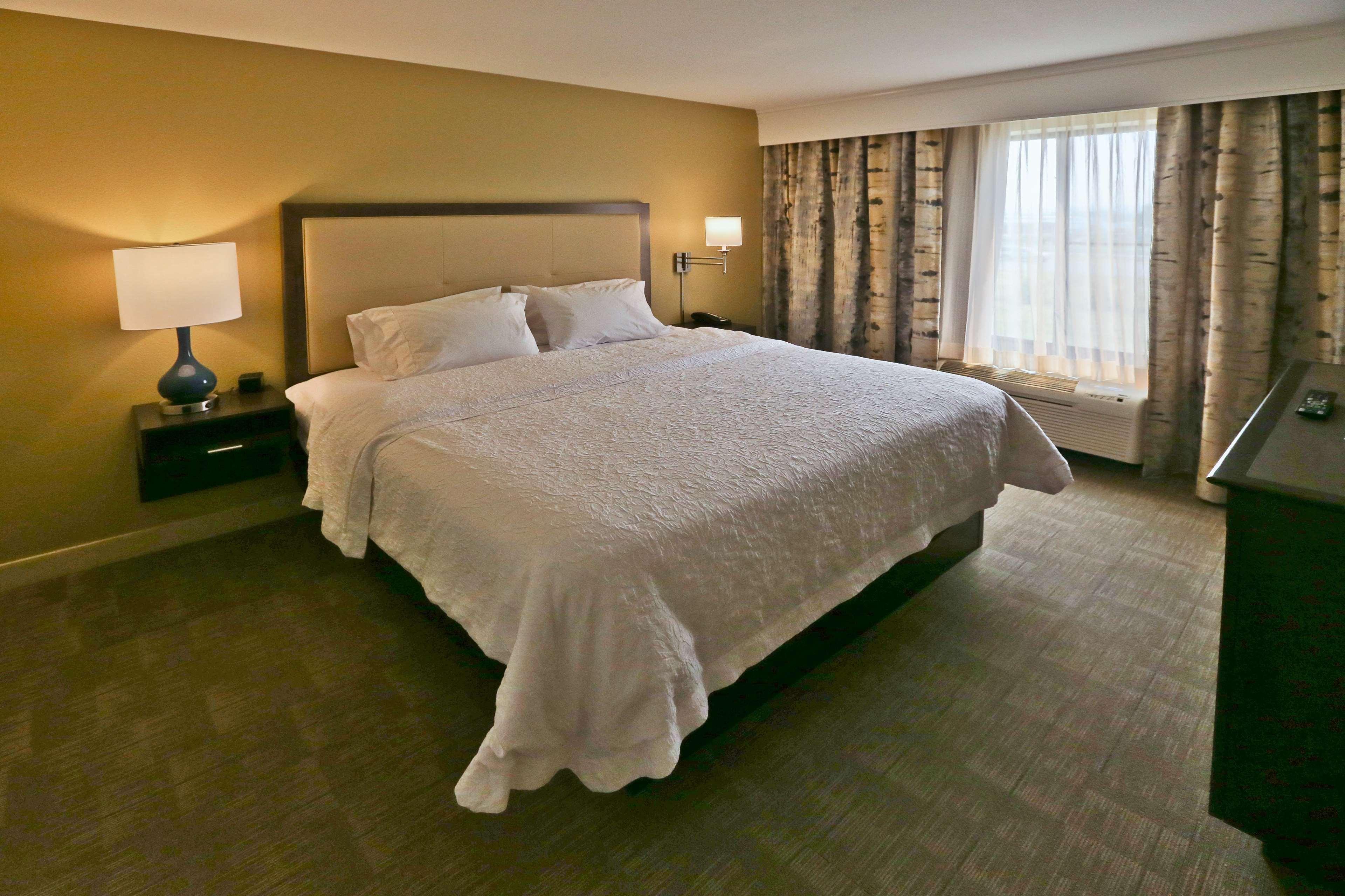 1 BEDROOM, SUITE, KING BED