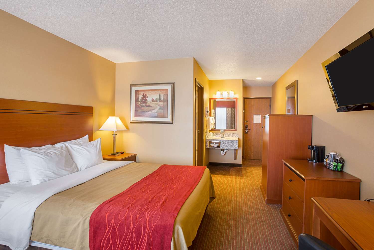 Room, Queen Bed