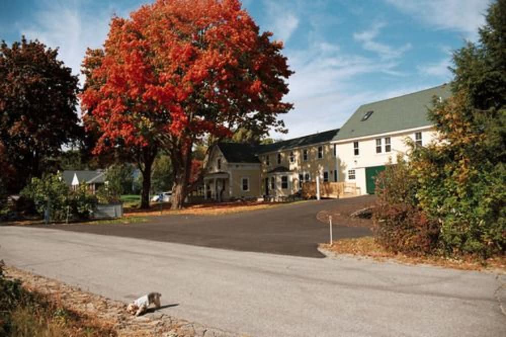 Elmere House Bed and Breakfast 36/50