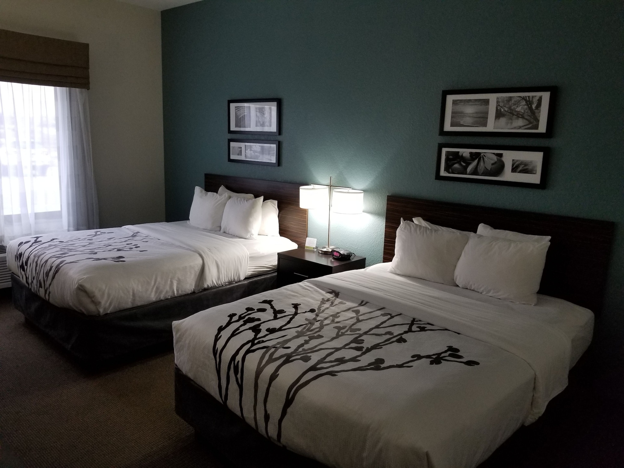 Standard, 2 Queen Beds, Sleep Inn and Suites Ames near ISU Campus 2/7