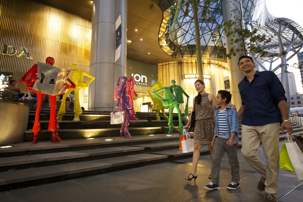 Mercure Singapore On Stevens 26/50
