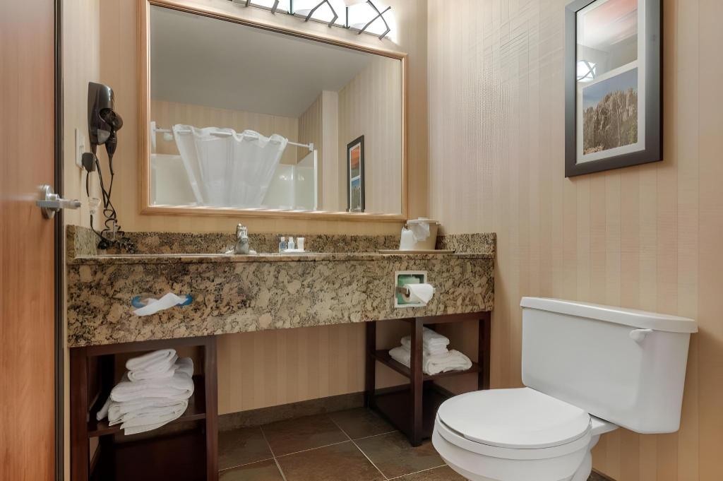 جناح بغرفة نوم واحدة، Comfort Inn & Suites Mitchell I-90 8/9