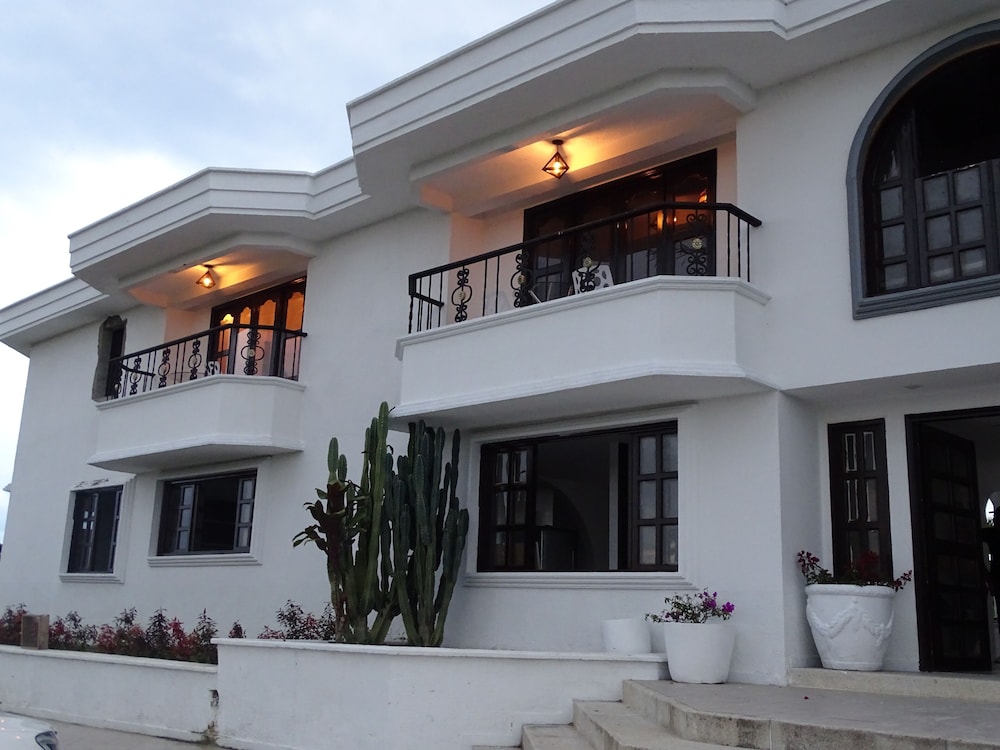 Hotel Palmas De Alcala 1/50
