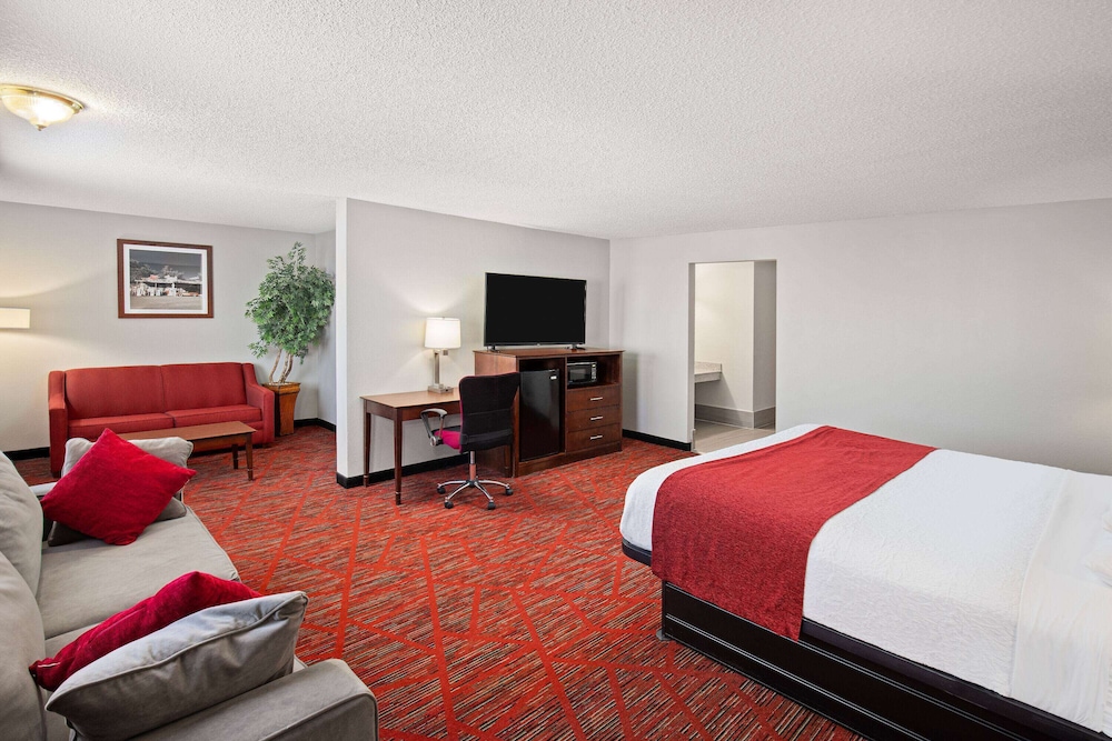 Studio, Suite, King Bed