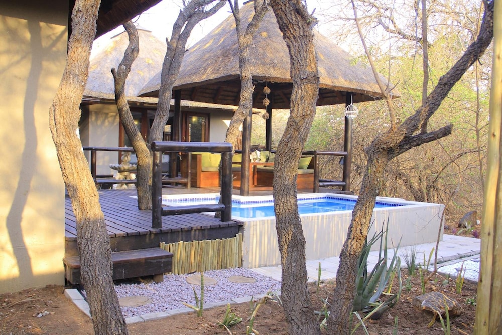 Raptors Lodge N16 22/50
