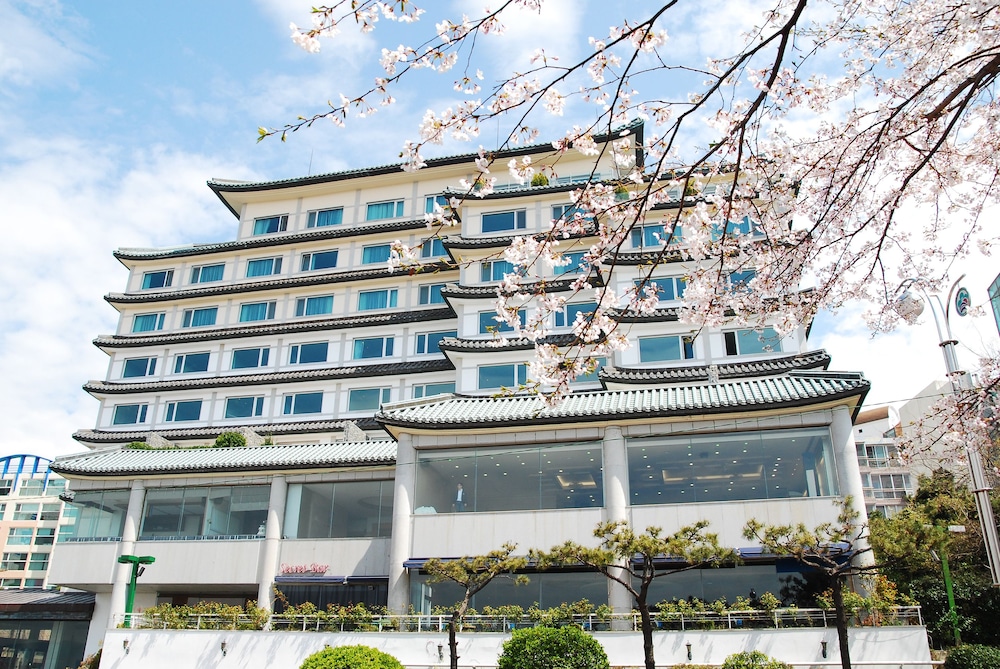 Hotel Illua photo1