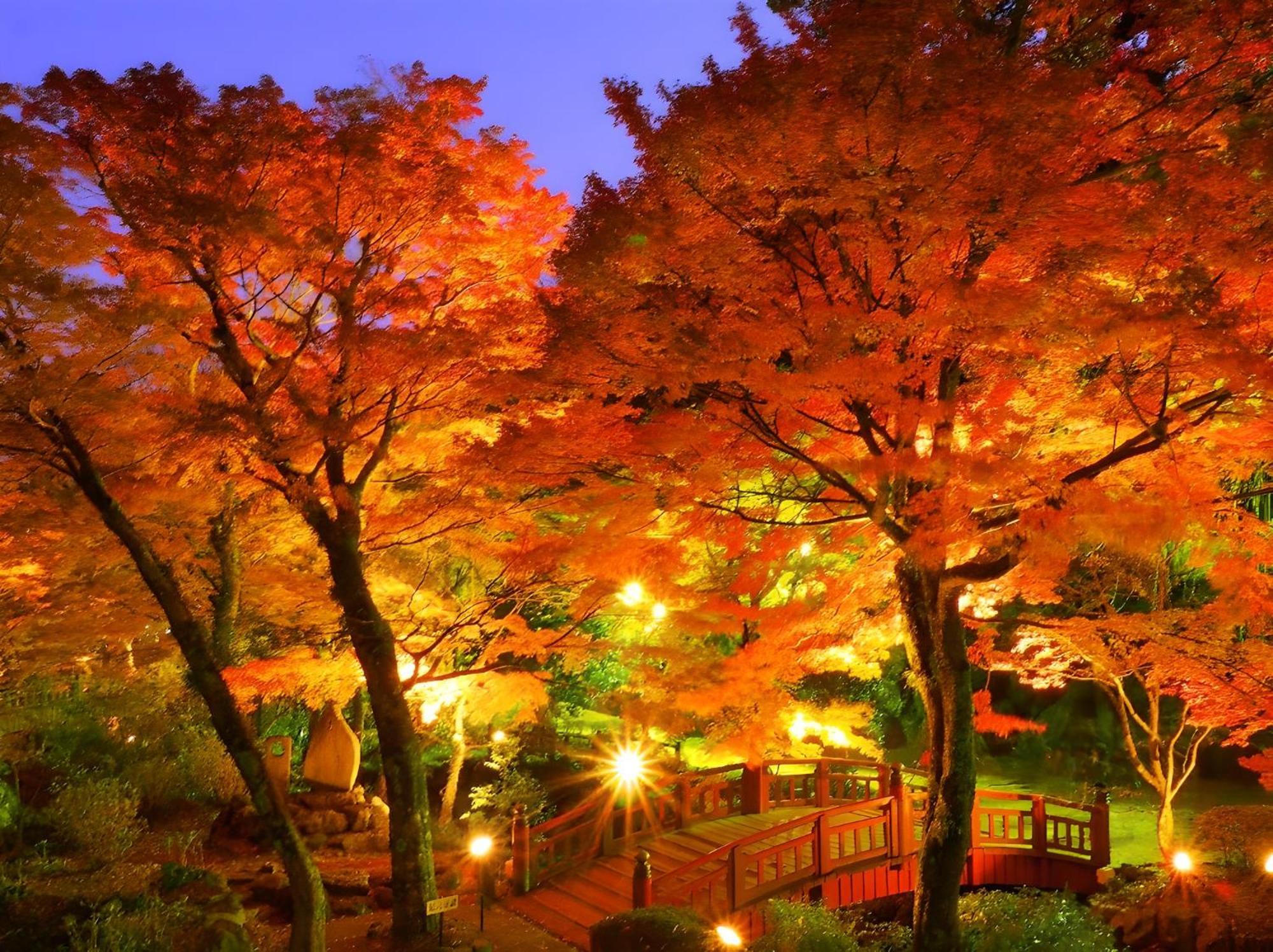 Atami Onsen Hotel Kanichi 45/50