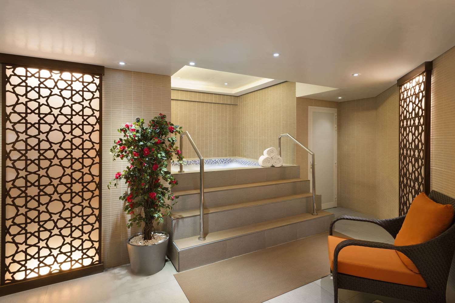 swimming pool spa