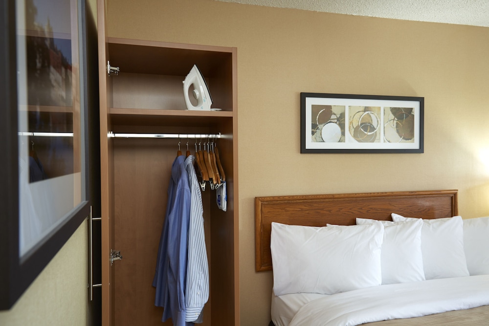 SUITE, KING BED