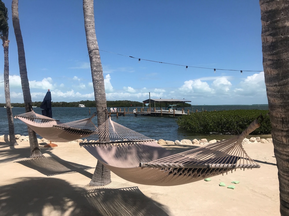 Coconut Palm Inn 22/50