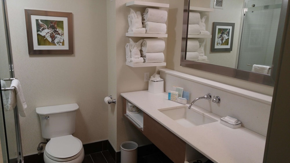 Hampton Inn & Suites By Hilton Calgary- University Northwest 23/61