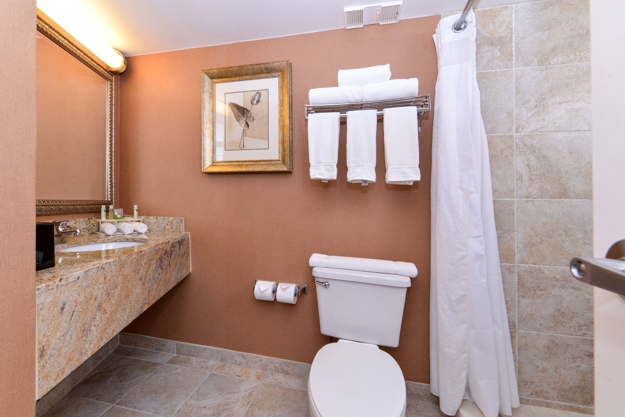 Standard, King Bed, Pool Access، Holiday Inn Express Clearwater East Icot Center 7/9