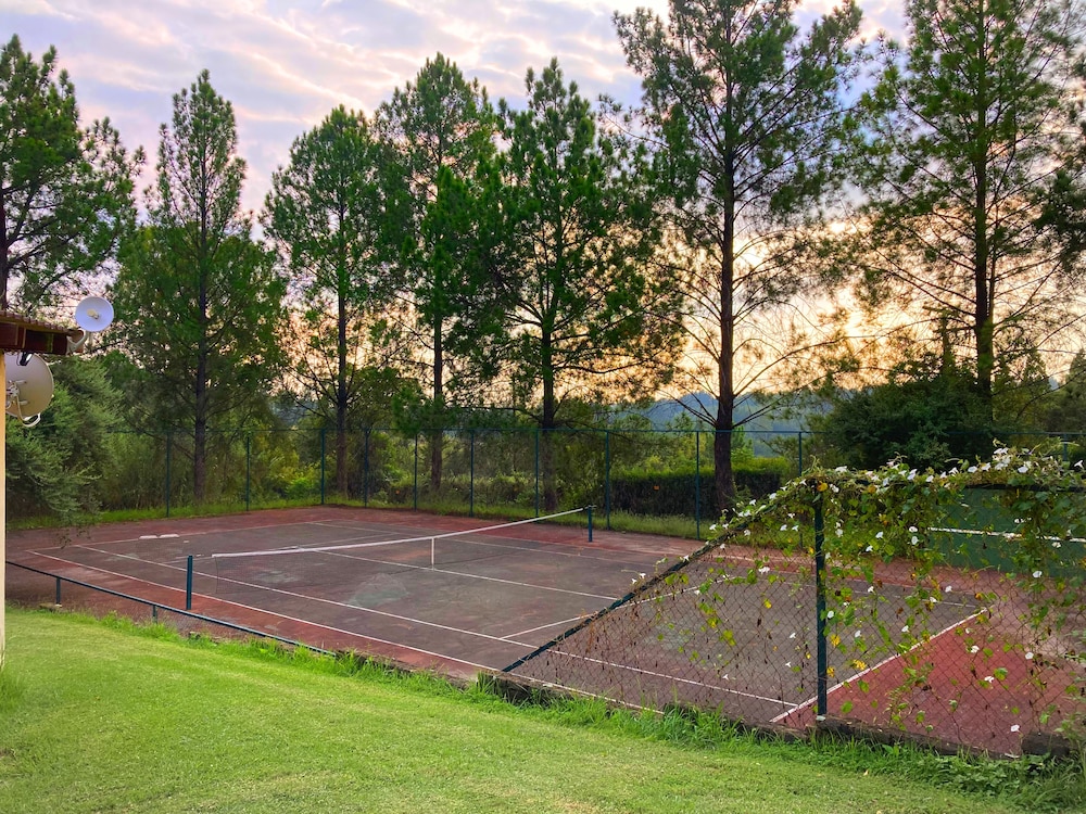 Pine Valley 22/50
