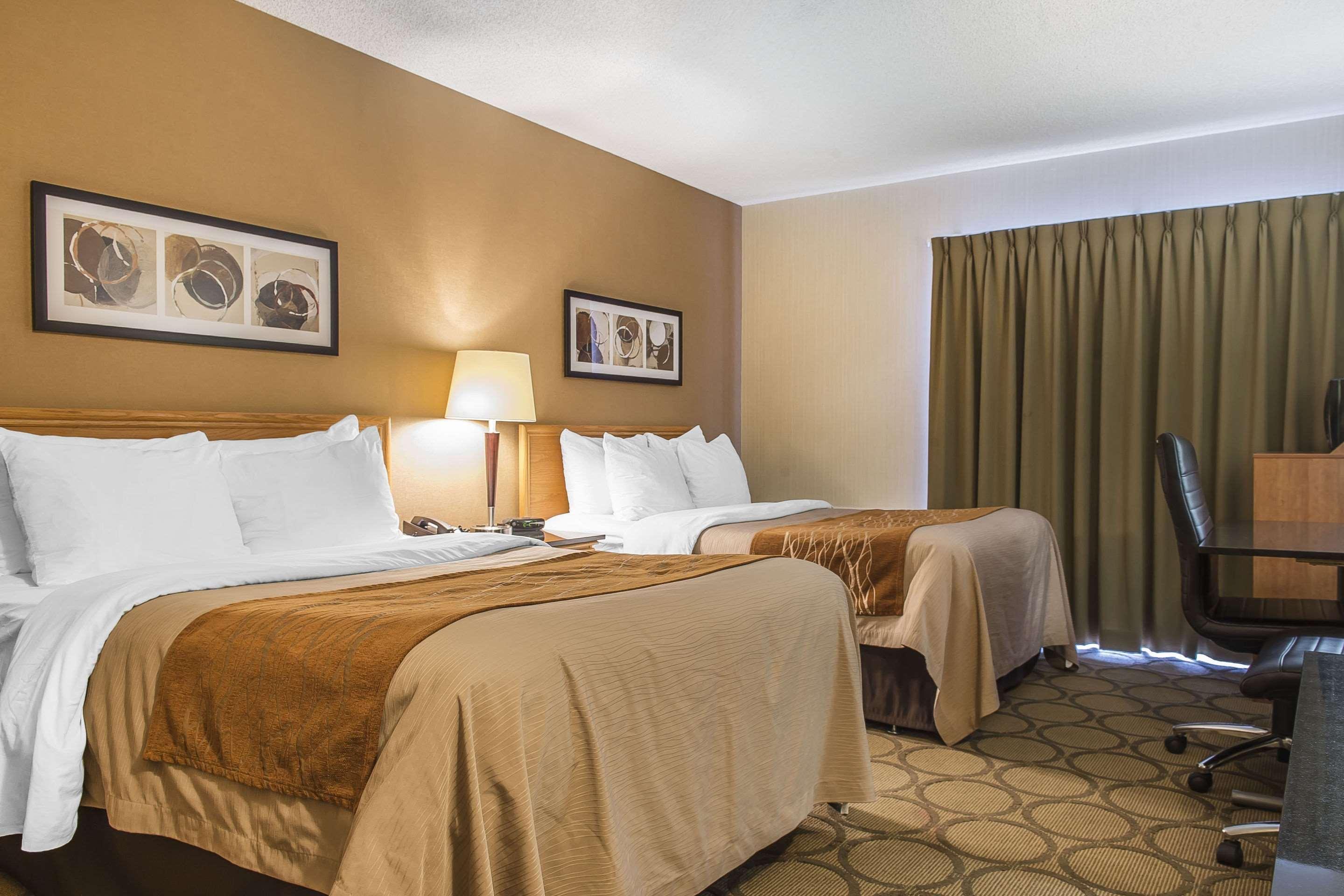 Room, Double Bed