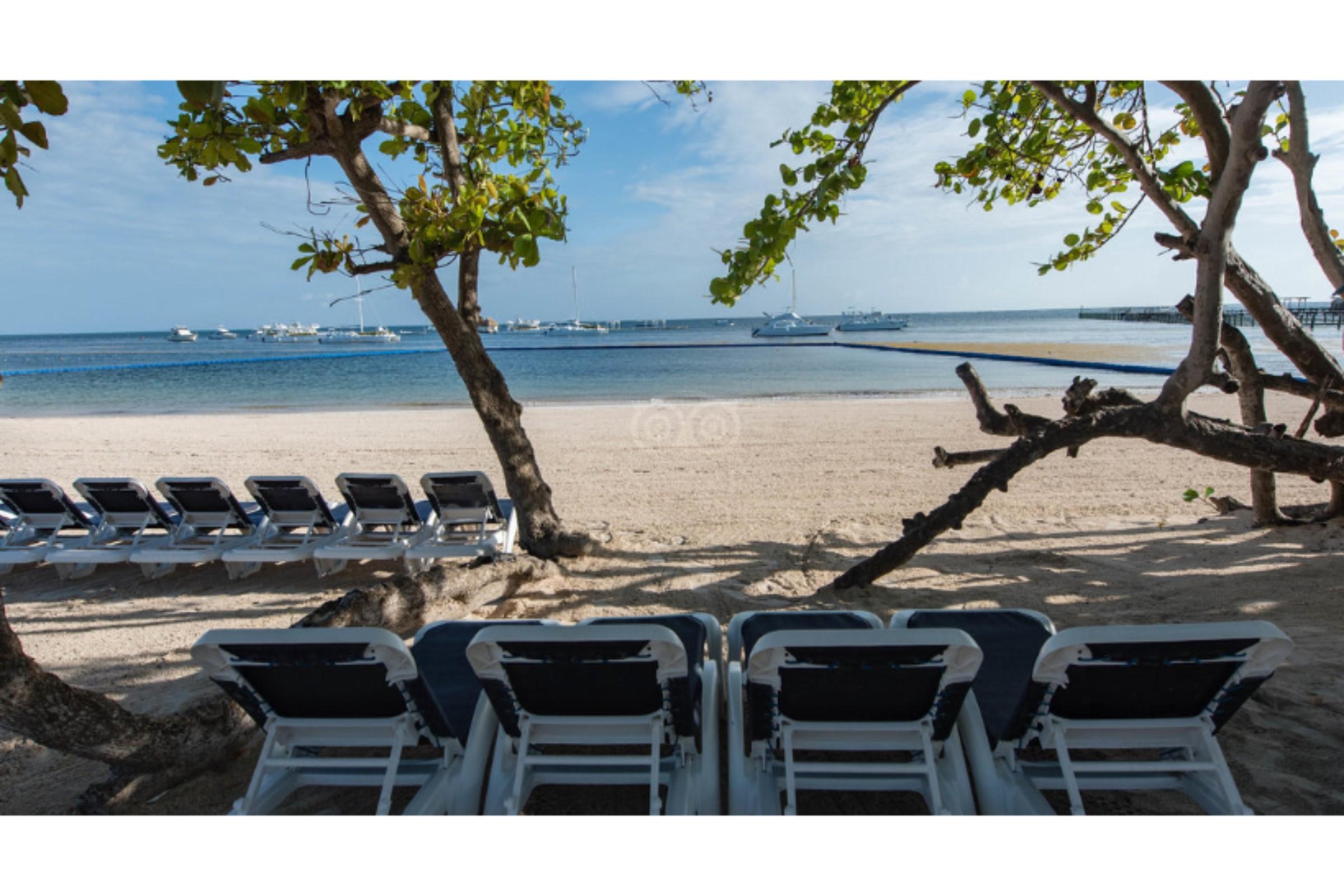 Bakour Punta Cana Suites 69/78