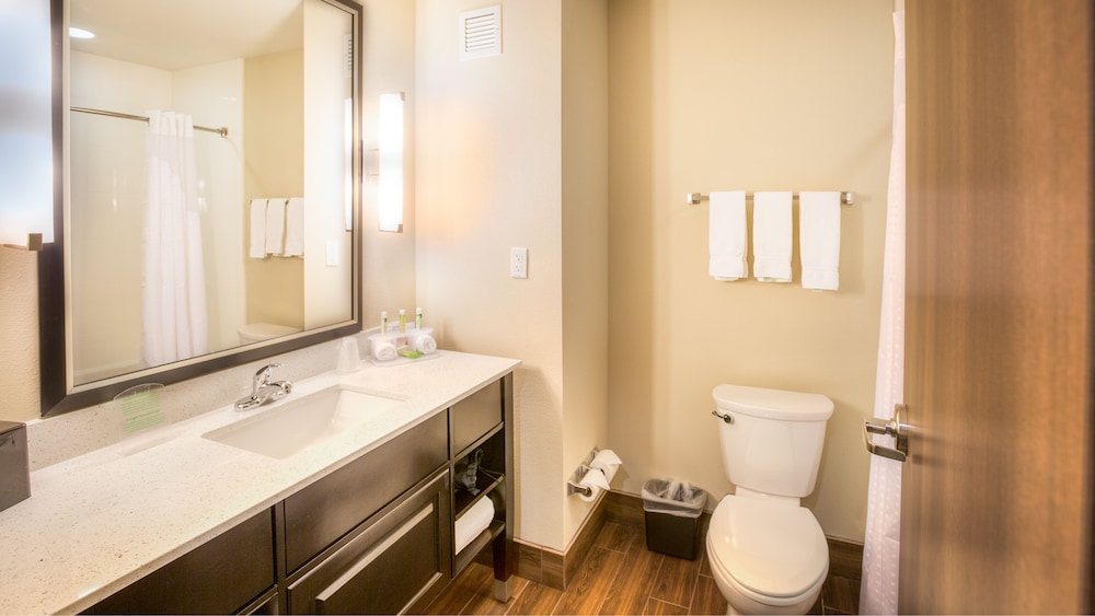 Holiday Inn Express Wichita South 20/59