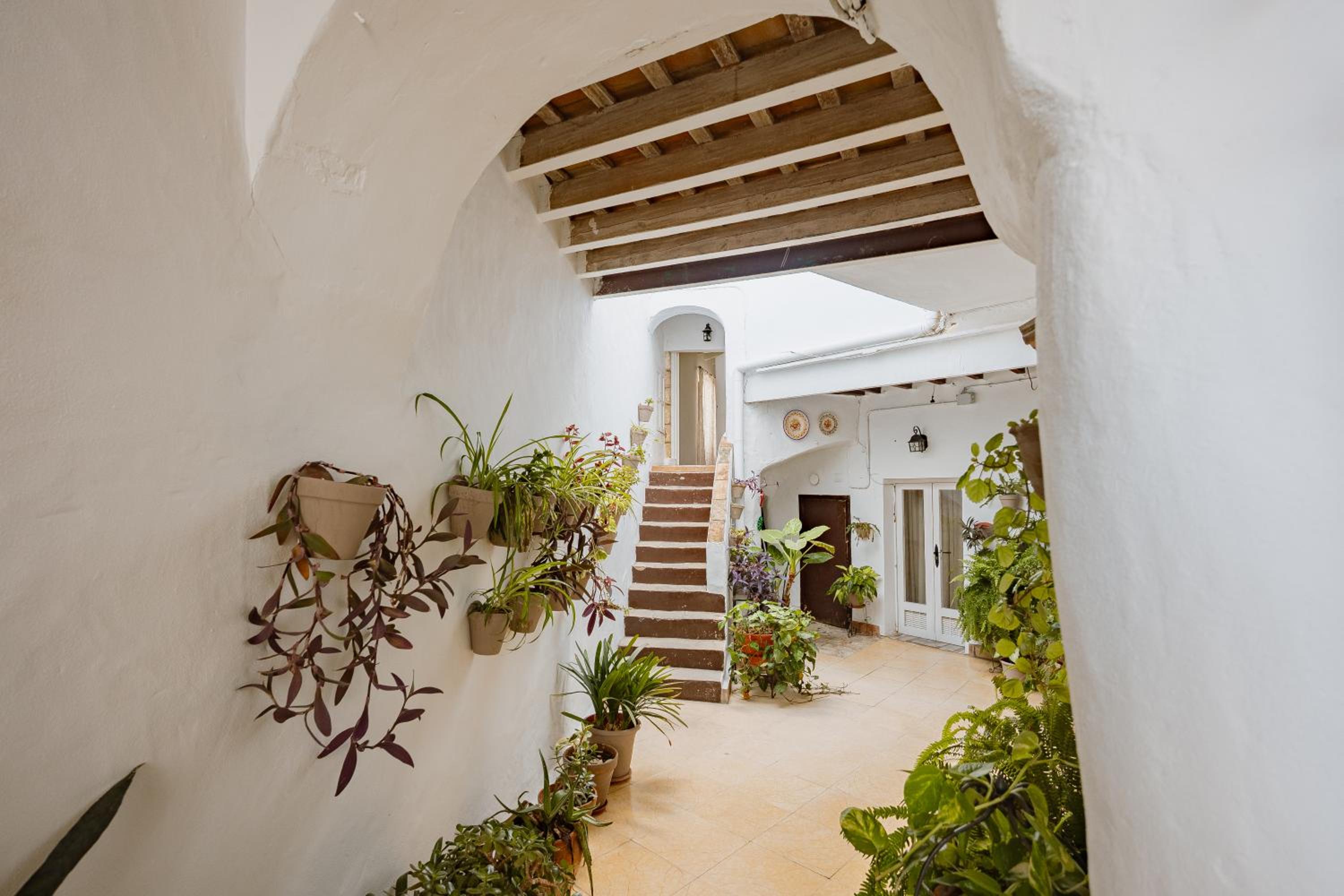 Casas Bodega Triana 1/21