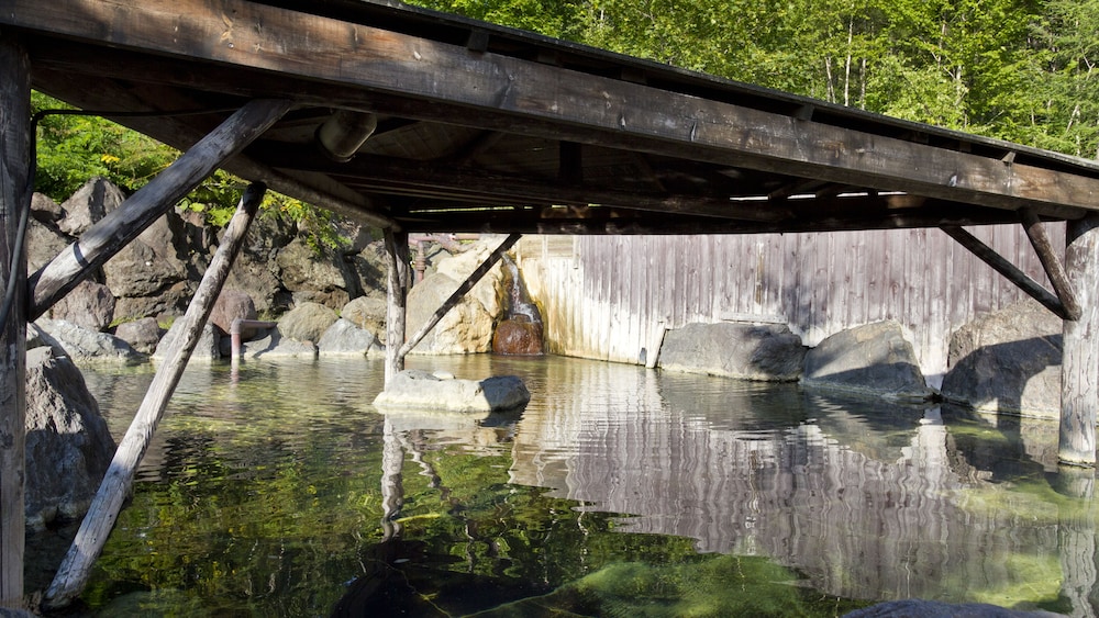 Niseko Annupuri Onsen Yugokorotei 40/50
