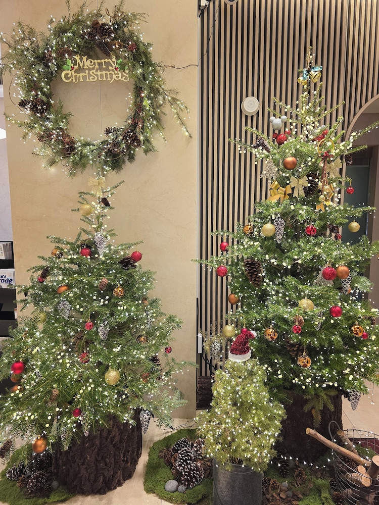 N285 Hotel Insadong 46/50