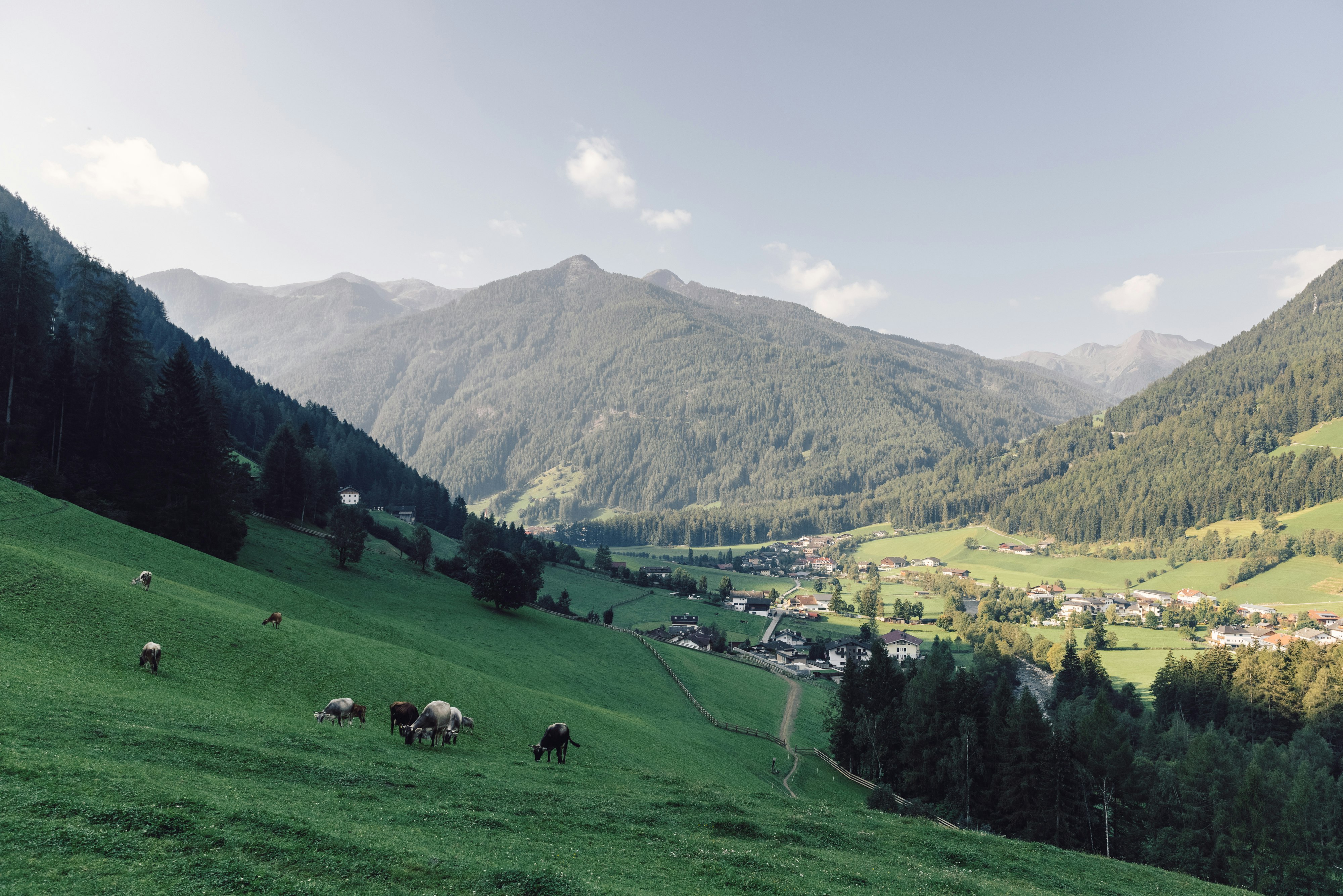 Alpin Royal Wellness Refugium & Resort Hotel 26/28