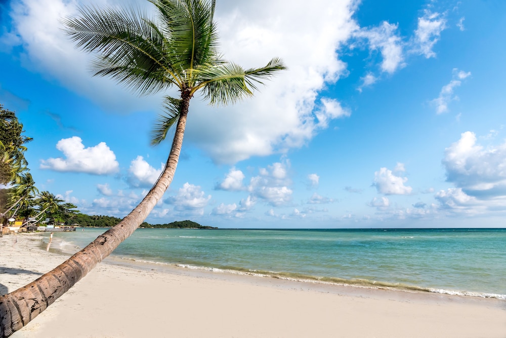 Beyond Samui 41/50