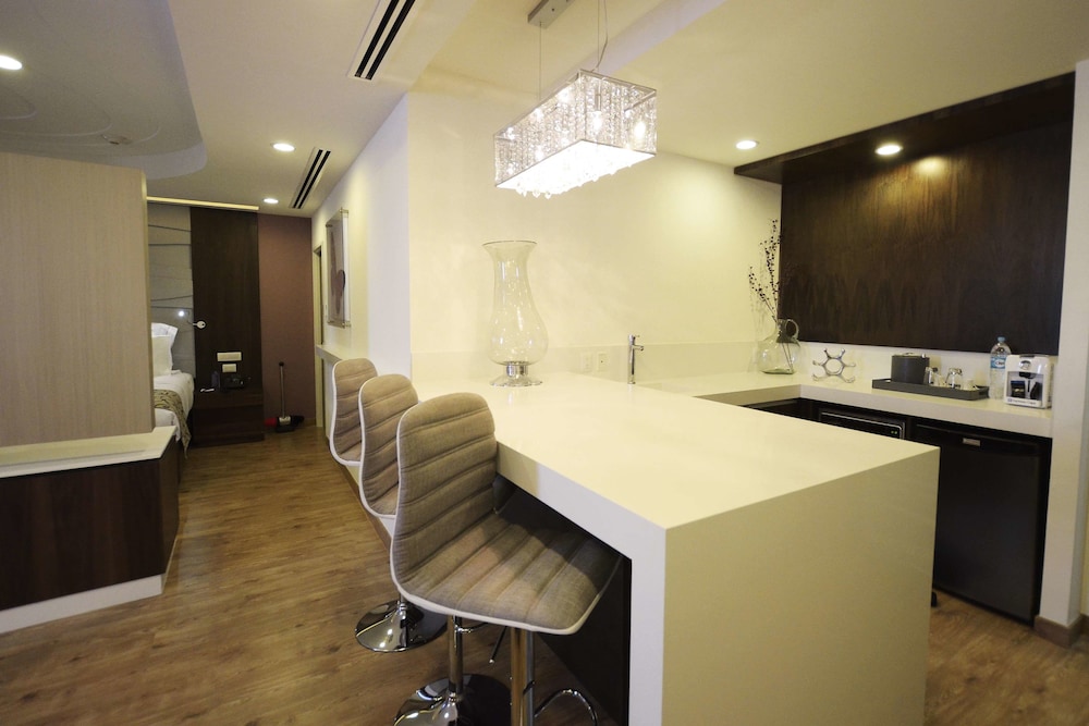 Hs Hotsson Hotel Queretaro 49/56