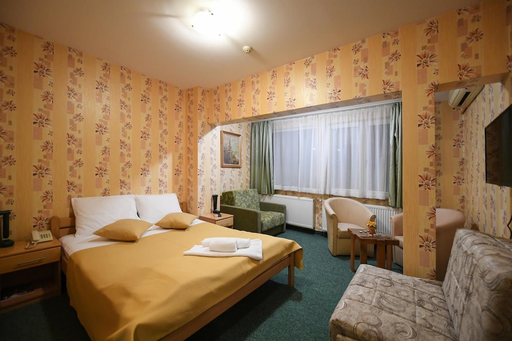 Family, Double Bed, Park View, Sofa, Hotel Slodes 4/10