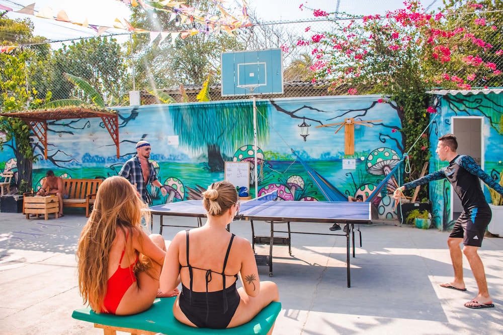Wonderland Party Hostel 45/51