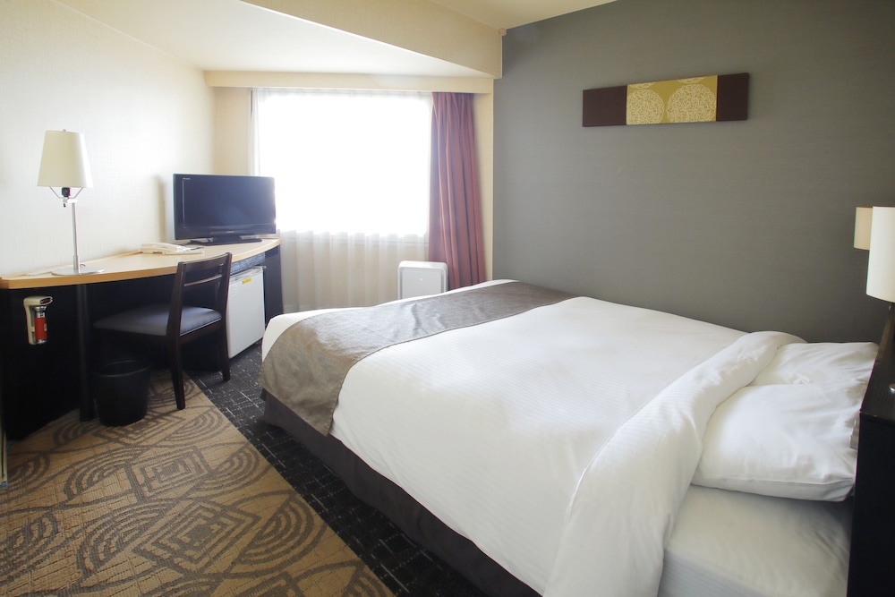 Sapporo Tokyu REI Hotel 18/65