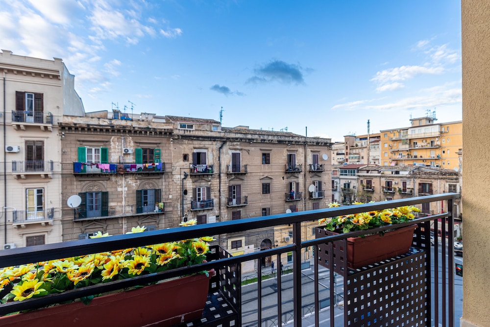Multi Suite Palermo 3/50