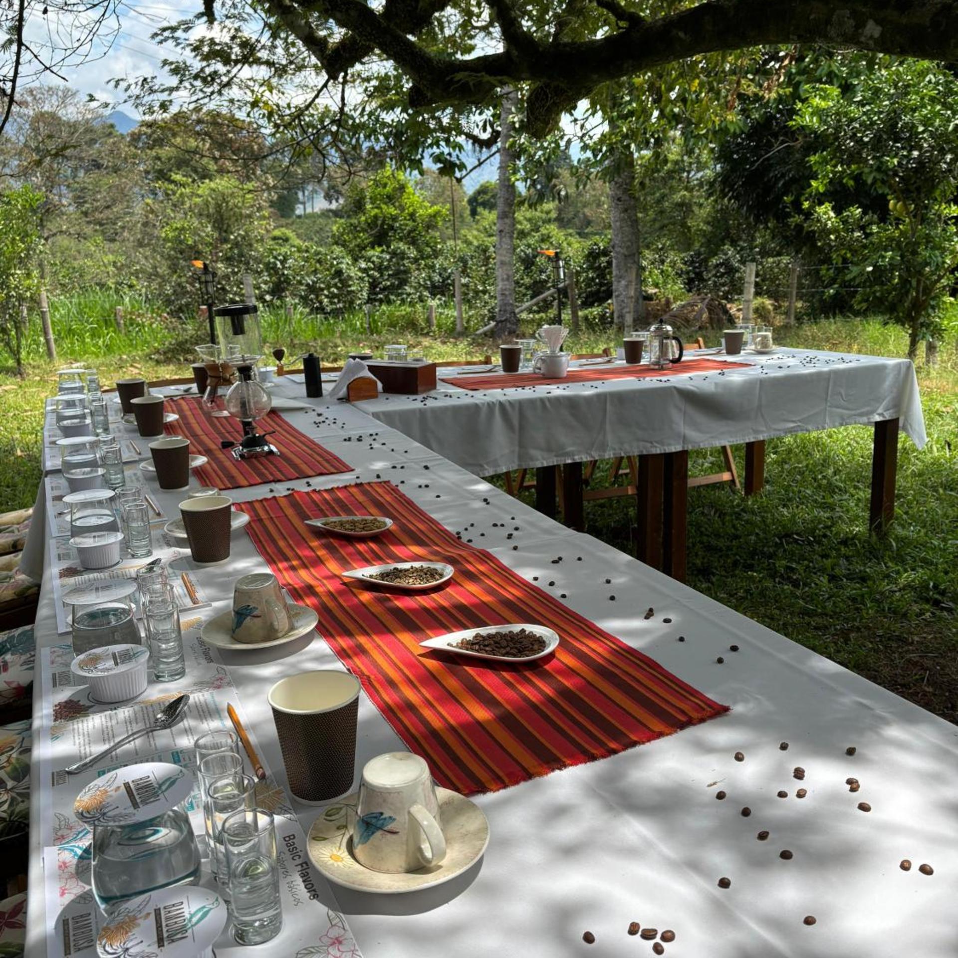 Hotel Hacienda Bambusa 39/50