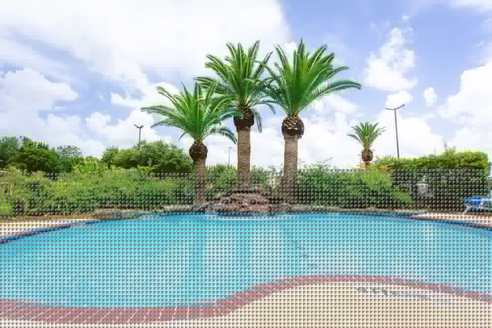 Best Western Pearland Inn 5/31