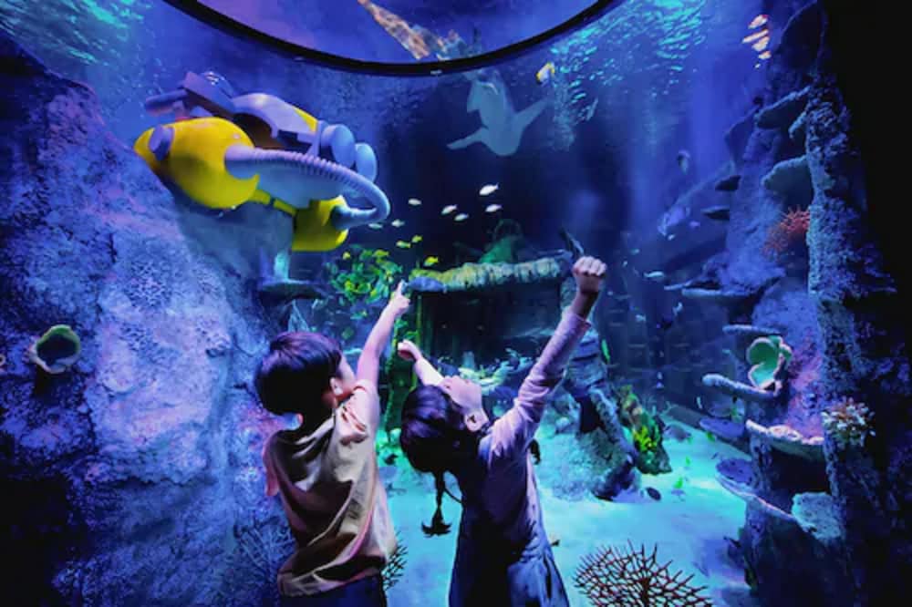 Legoland Malaysia Resort 40/50