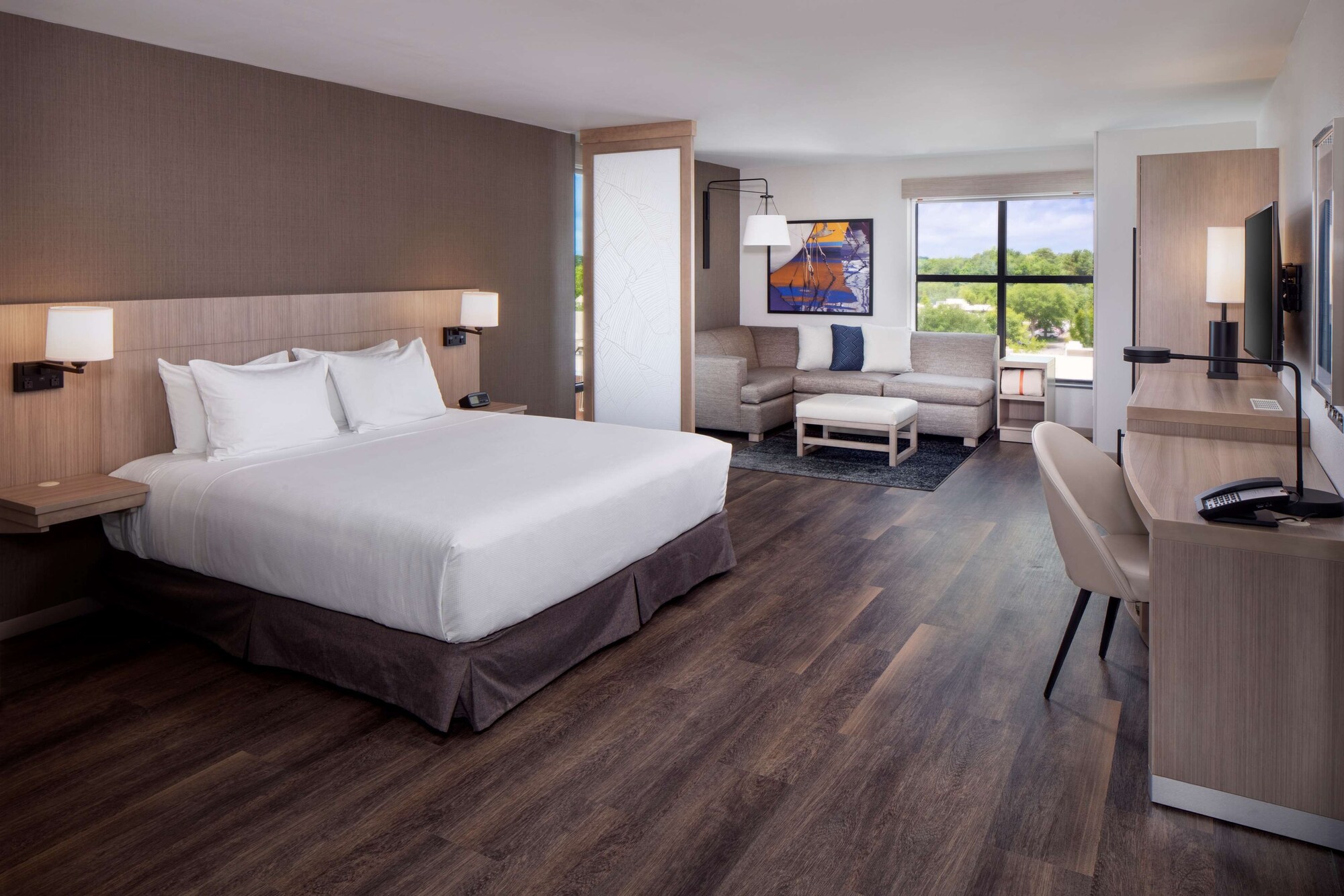 ROOM, KING BED, SOFA