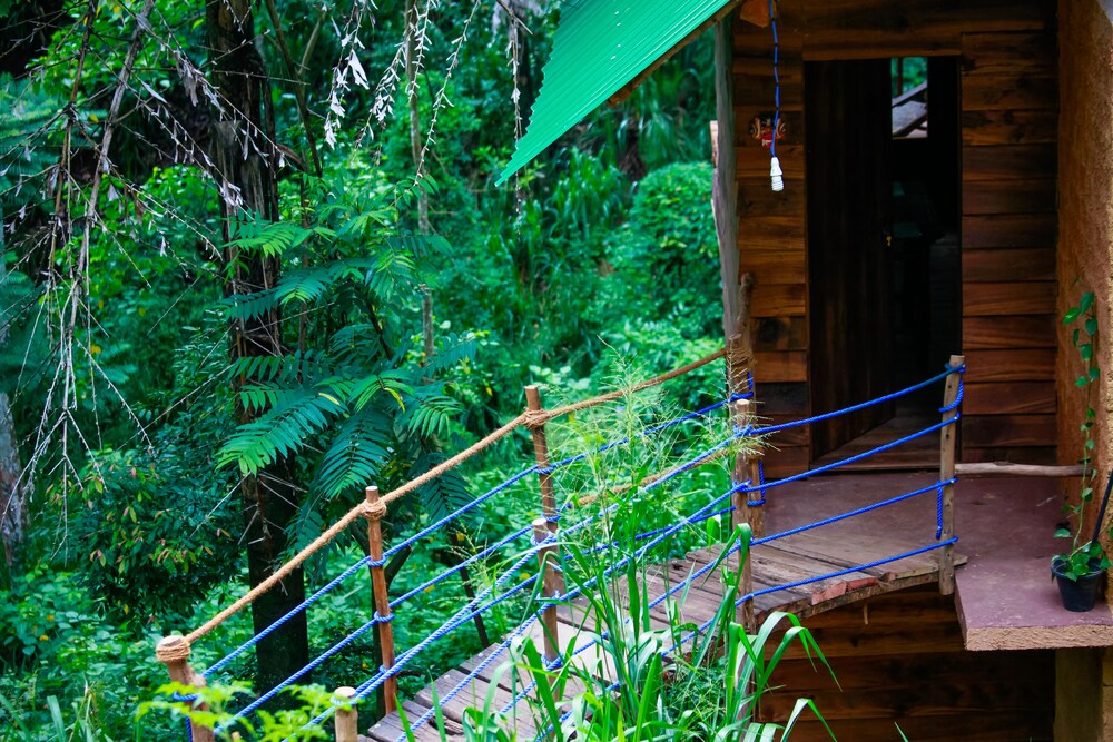 Ella Eco Lodge 34/38