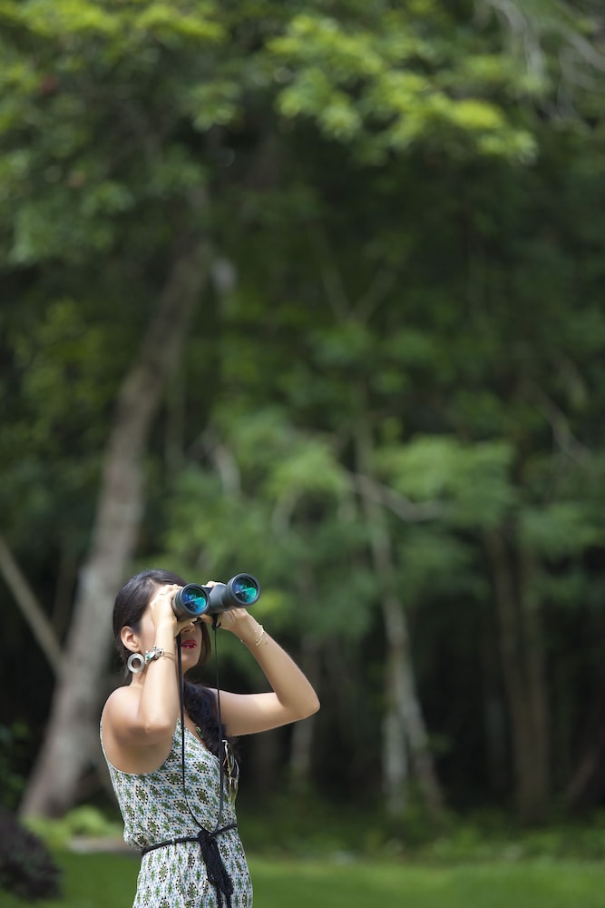 Chicanna Ecovillage Resort 39/66