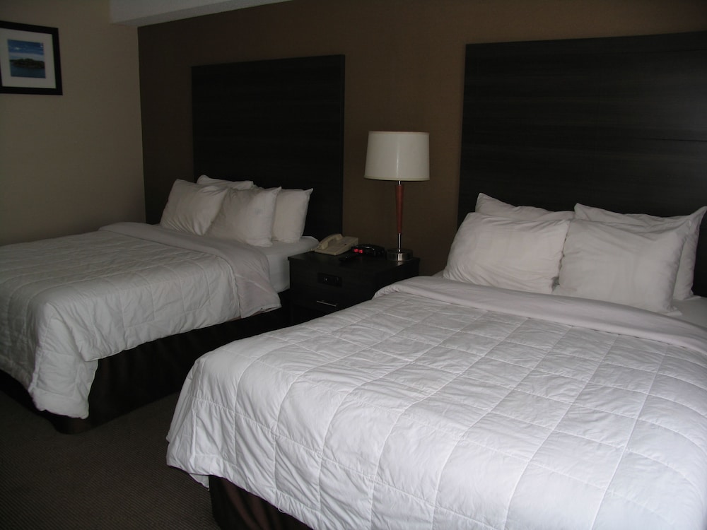 Ramada by Wyndham Kingston 14/50