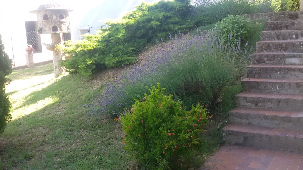 Primavera photo2