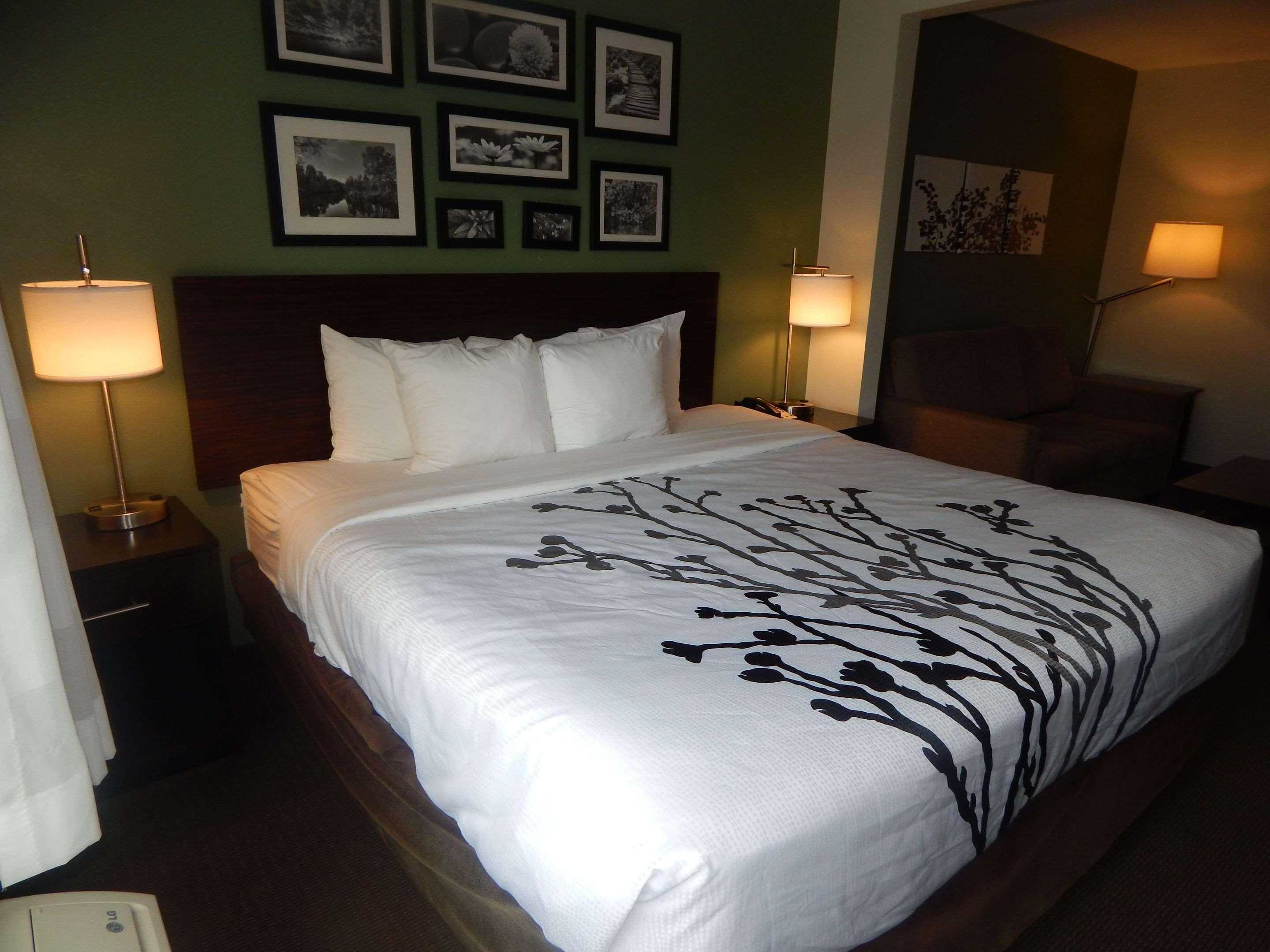 Suite, King Bed, Accessible
